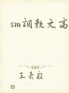 sm调教文高h