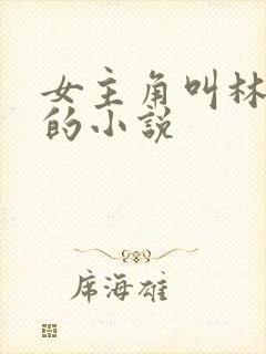 女主角叫林清妍的小说