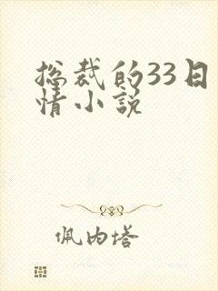 总裁的33日索情小说封面