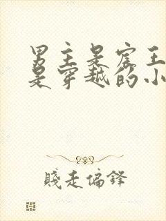 男主是宸王女主是穿越的小说