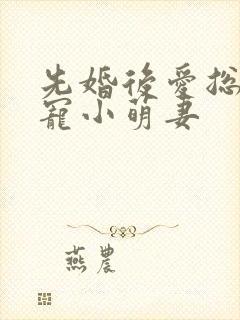 先婚后爱总裁蜜宠小萌妻封面