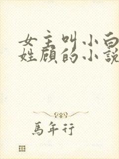 女主叫小白男主姓顾的小说