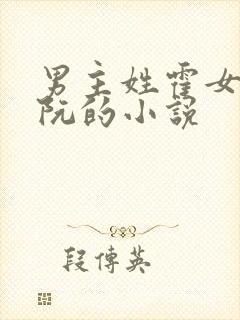 男主姓霍女主姓阮的小说