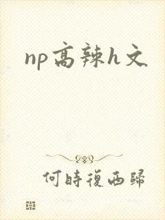 np高辣h文封面