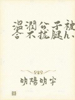 温润公子被c得合不拢腿h小说