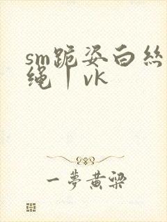 sm跪姿白丝走绳丨vk