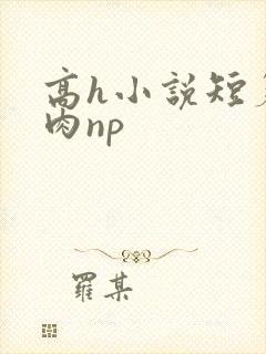 高h小说短篇纯肉np