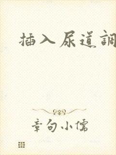 插入尿道调教文