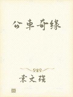 公车奇缘