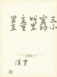 男主叫宫三爷女主重生的小说