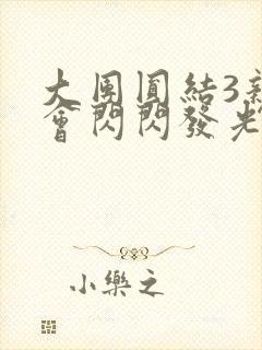 大团圆结3亲情会闪闪发光