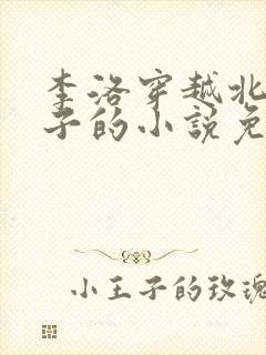 李洛穿越北凉世子的小说免费阅读
