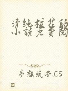 清纯校花的堕落小说免费阅读无弹窗封面