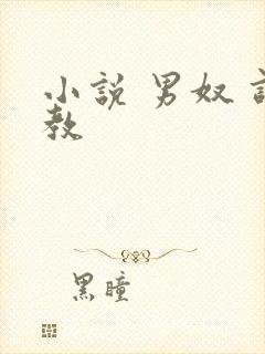 小说 男奴 调教封面