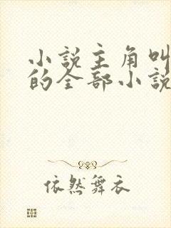 小说主角叫洛天的全部小说