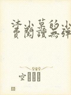 沐小草的小说免费阅读无弹窗全文