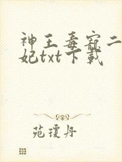 神王毒宠二嫁王妃txt下载