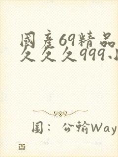 国产69精品久久久久999小说