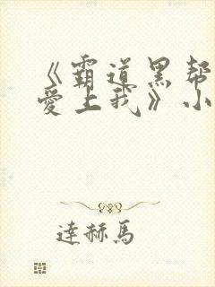 《霸道黑帮老大爱上我》小说