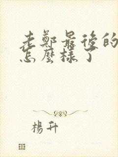 老郑最后的结局怎么样了封面