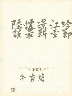 陆怀璟江吟晚小说最新章节内容