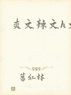爽文辣文h文