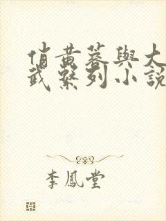 俏黄蓉与大武小武系列小说