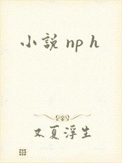 小说 np h