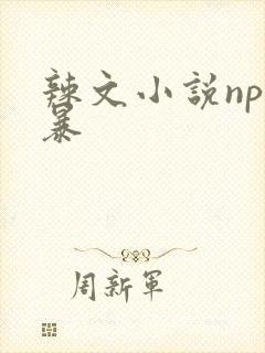 辣文小说np粗暴