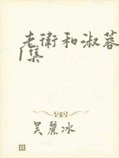 老卫和淑蓉第11集