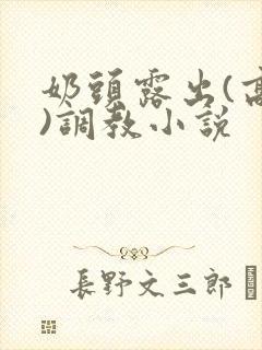 奶头露出(高h)调教小说