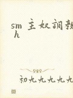 sm 主奴调教 h封面