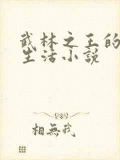 武林之王的退隐生活小说