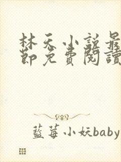 林天小说最新章节免费阅读全文