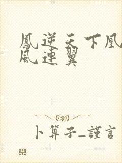 凤逆天下凰北月风连翼