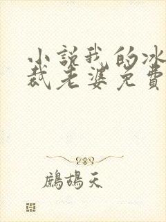 小说我的冰山总裁老婆免费阅读