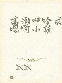 高潮呻吟求饶h嗯啊小说