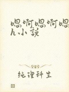 嗯啊嗯啊嗯啊高h小说