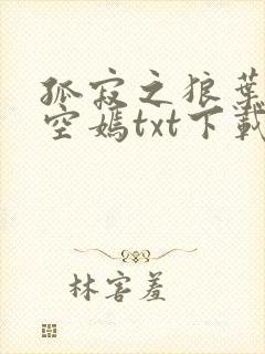 孤寂之狼叶凡司空嫣txt下载