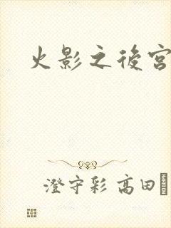 火影之后宫佳丽封面
