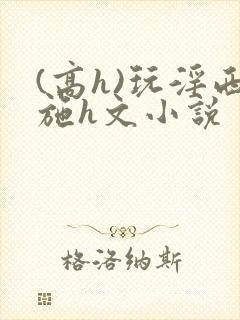 (高h)玩淫西施h文小说