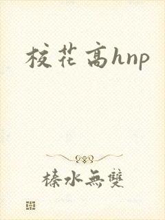 校花高hnp封面
