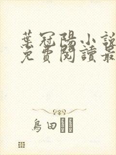 叶冠阳小说全文免费阅读最新章节