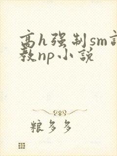 高h强制sm调教np小说