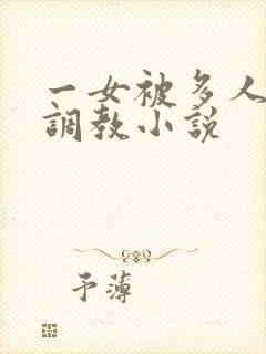 一女被多人跳蛋调教小说封面