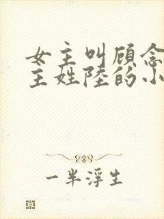 女主叫顾念念男主姓陆的小说封面