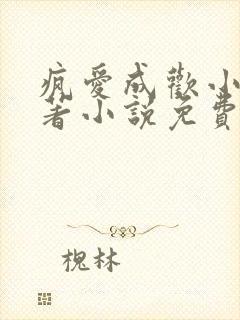 疯爱成欢小说原著小说免费阅读封面