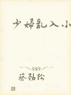 少妇乱入小说
