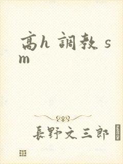 高h 调教 sm