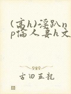 (高h)淫趴np伦人妻h文